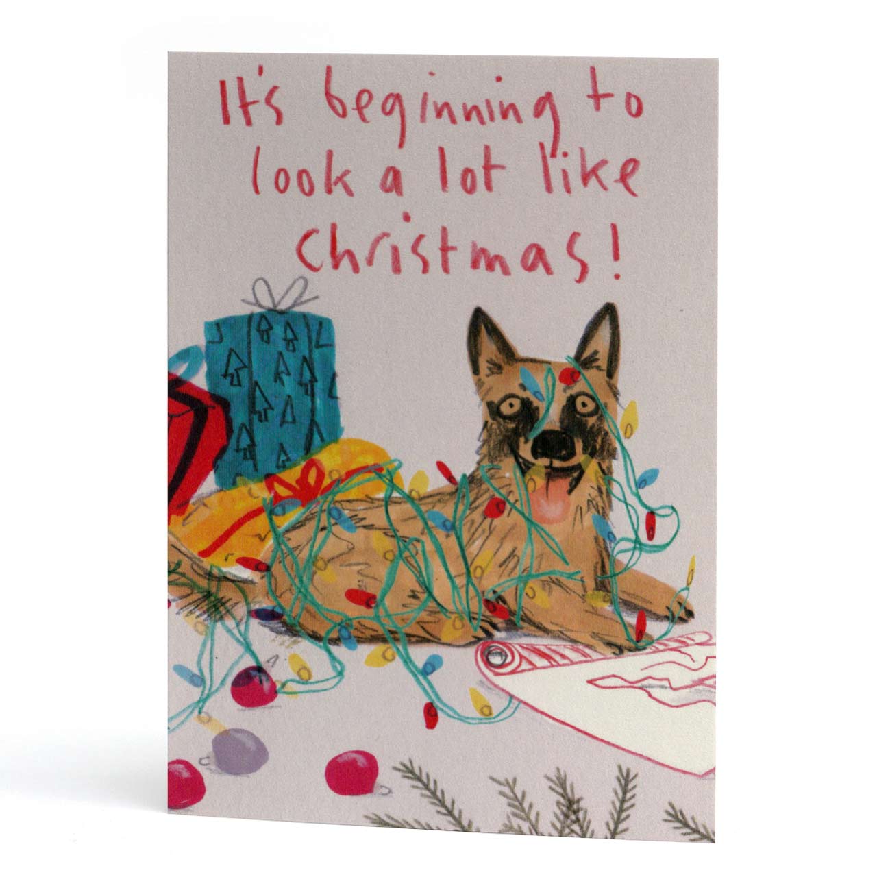It's Beginning... Dog Christmas Card