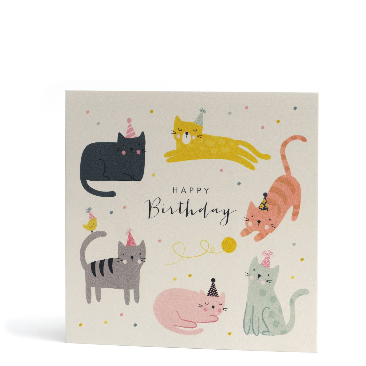 Birthday Party Hat Kittens Greeting Card