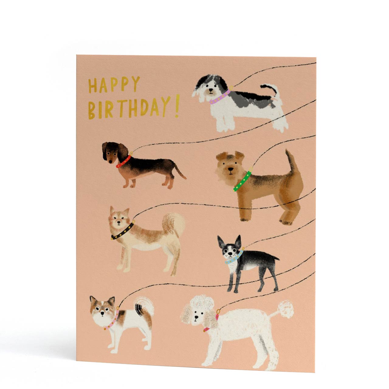 Out For A Walk Birthday Greeting Card