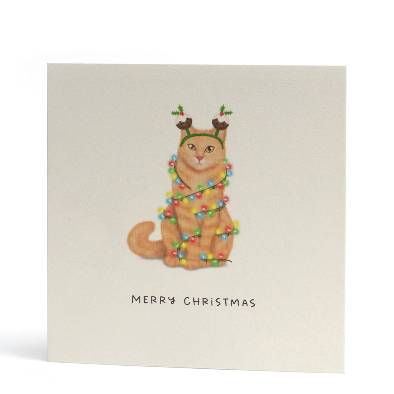Square Christmas card featuring a cute orange cat wrapped in fairy lights. The words Merry Christmas are handwritten underneath. The cat is also wearing Christmas pudding deeley boppers.