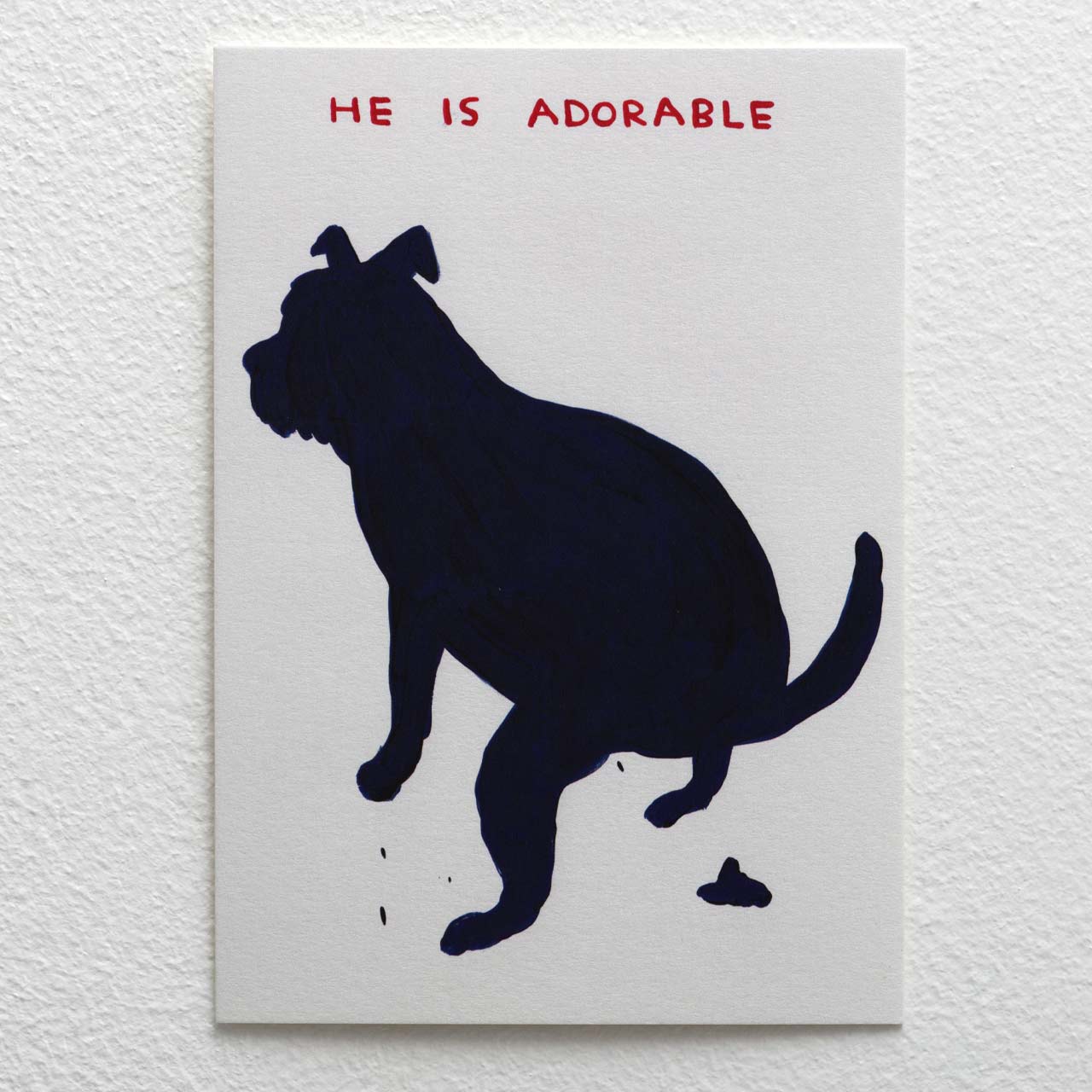 He is Adorable Postcard