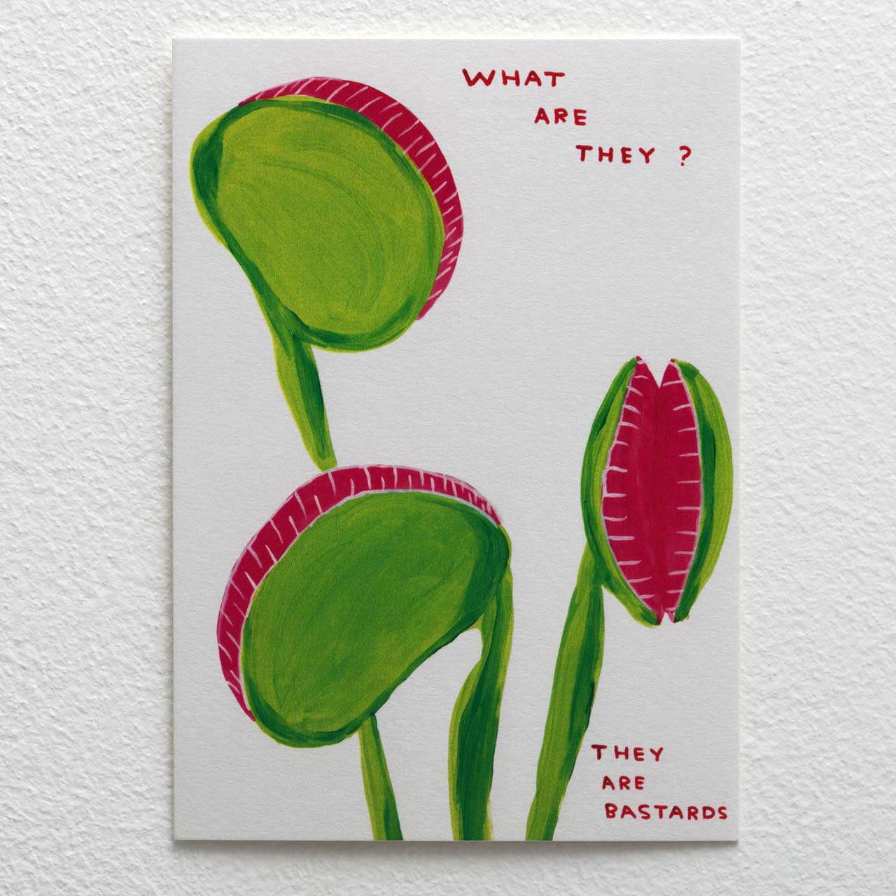 What are They Postcard