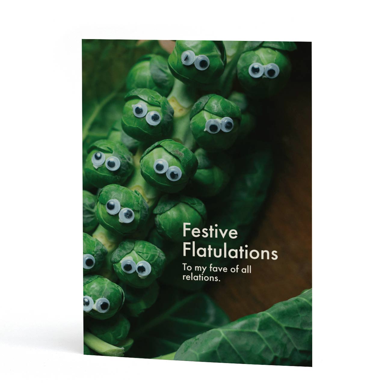 Festive Flatulations Relation Christmas Card