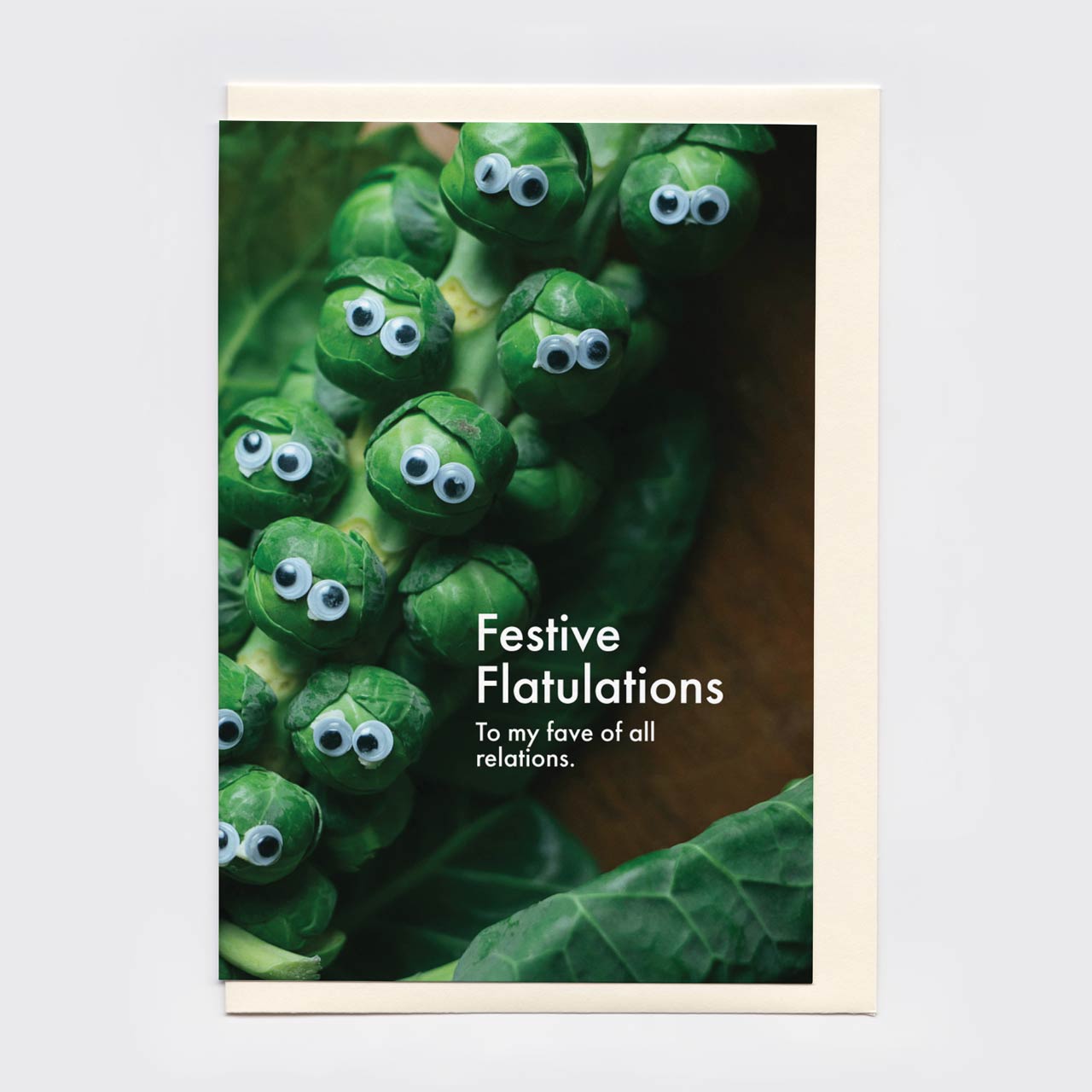 Festive Flatulations Relation Christmas Card