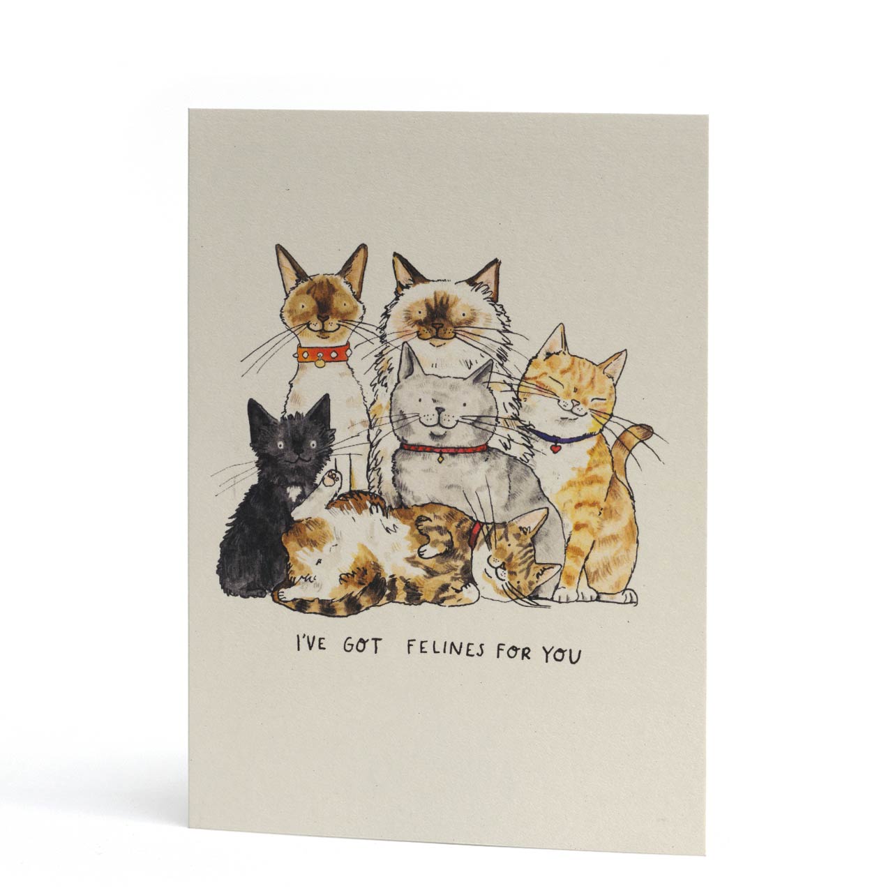 I've Got Felines for You Love Card