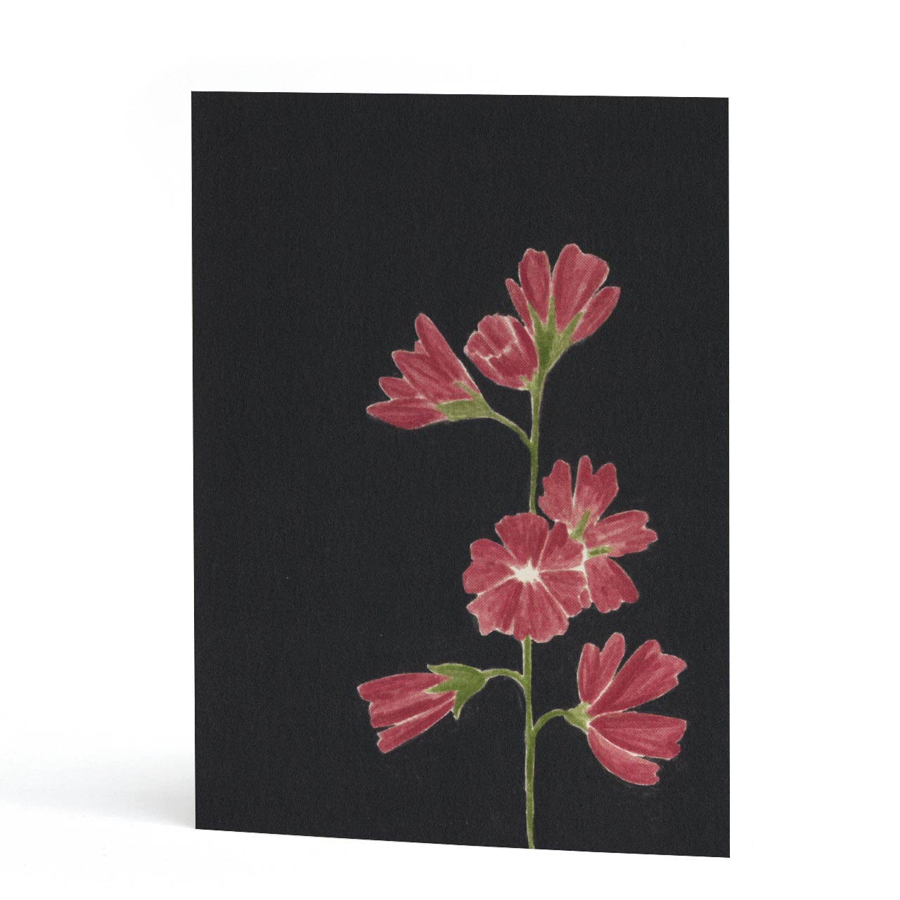 Pink Flower Card
