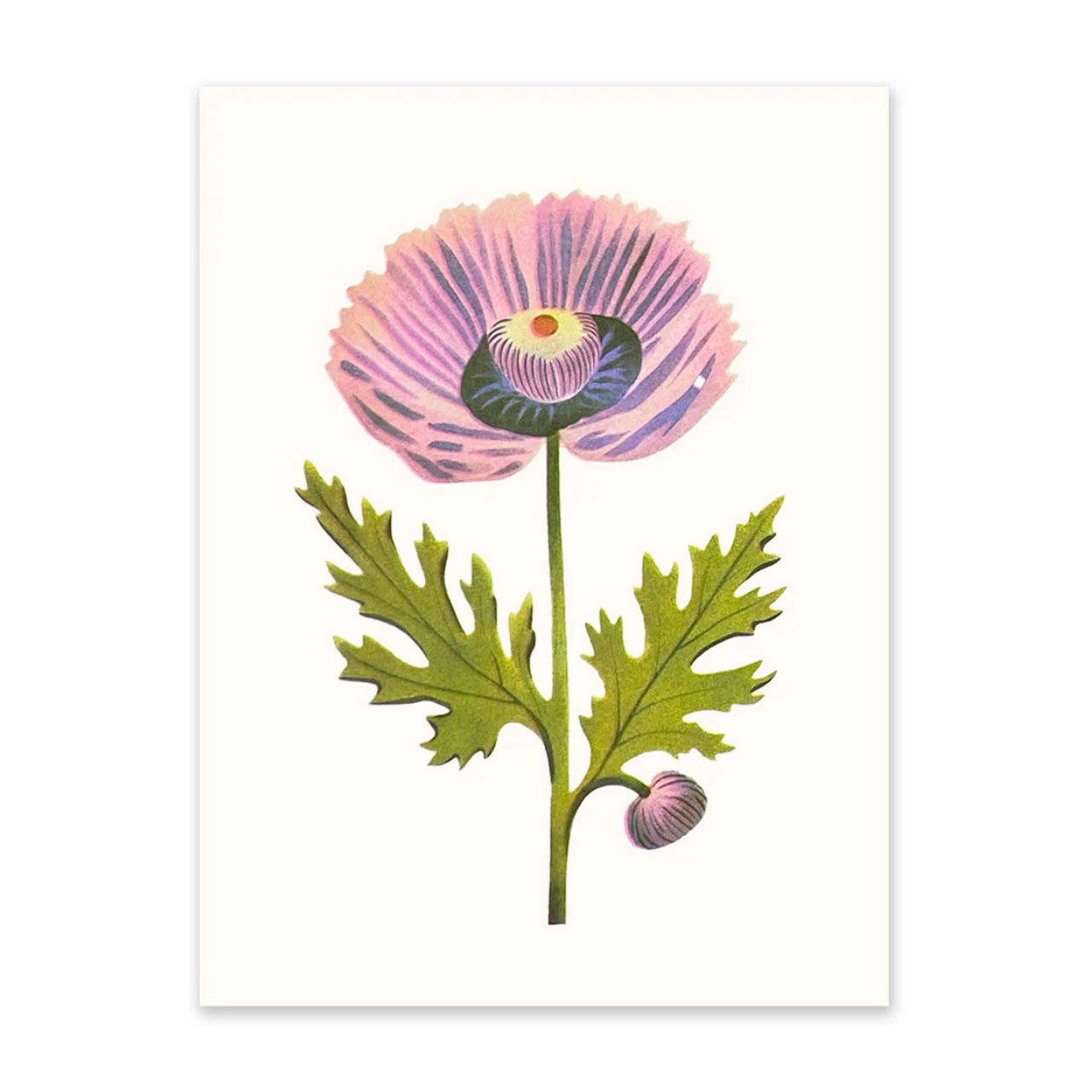 Purple Poppy Riso Art Print 8 x 6