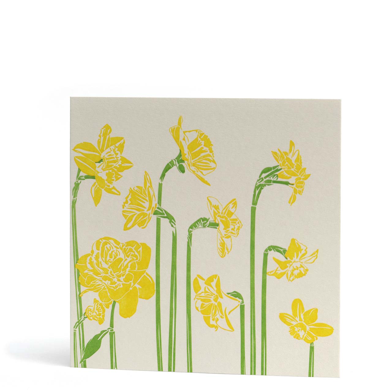 Daffodils Letterpress Card