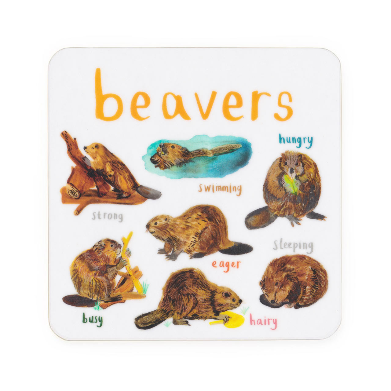 Beavers Drinks Coaster