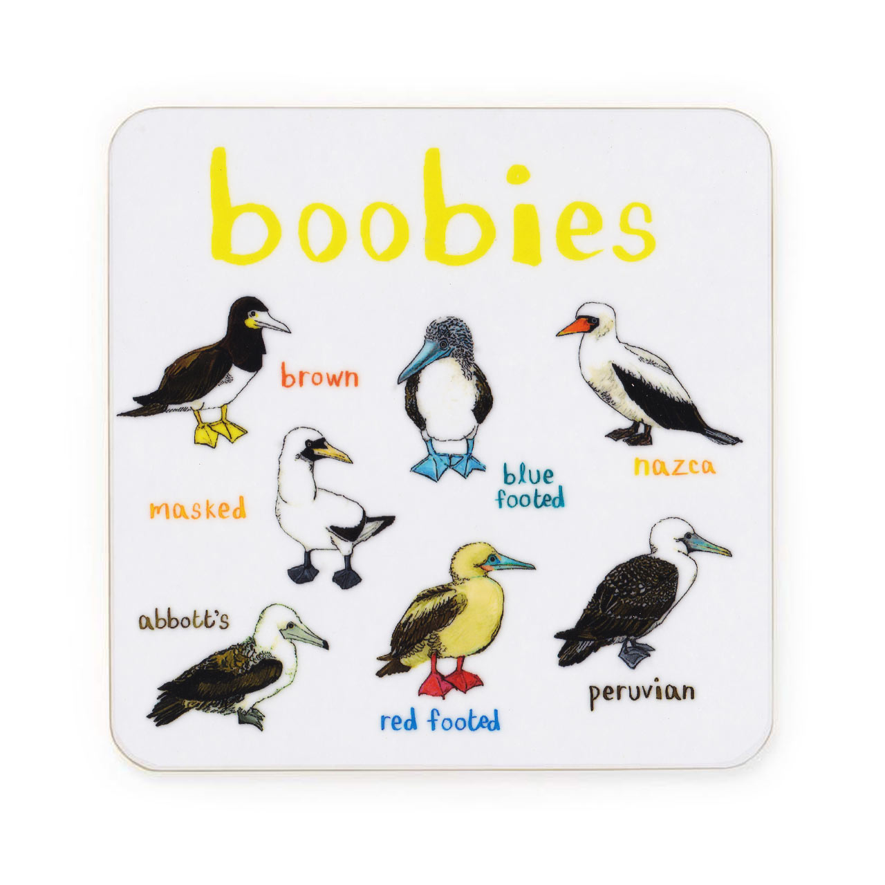 Boobies Drinks Coaster
