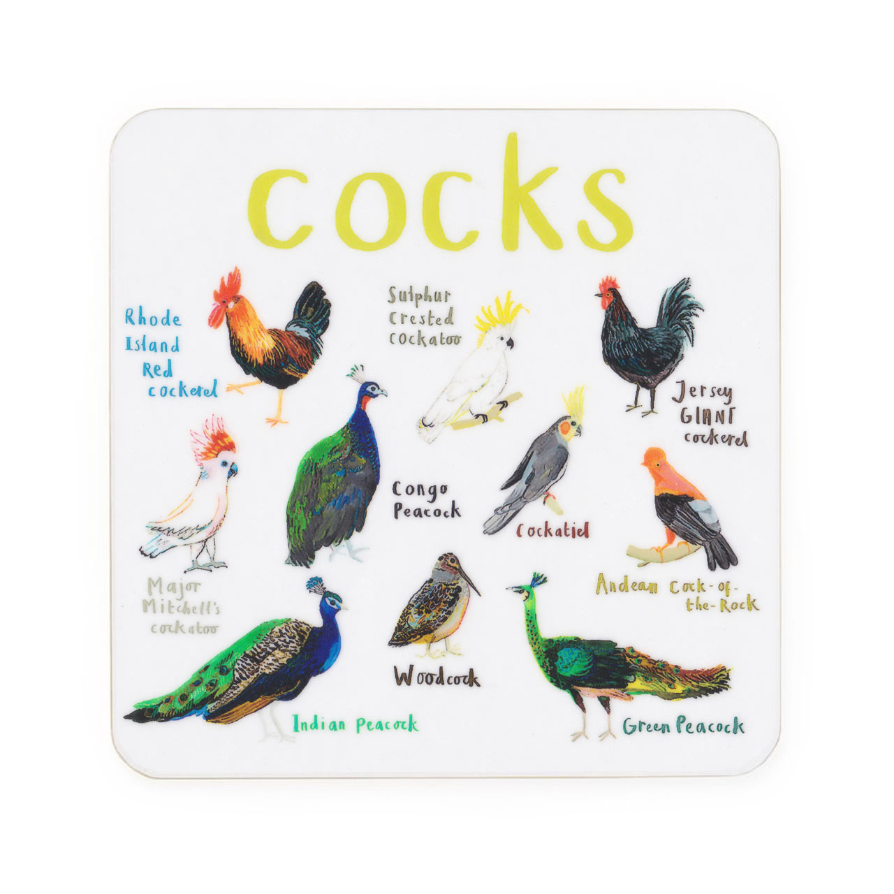 Cocks Drinks Coaster