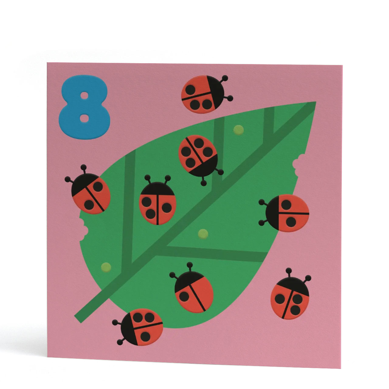 Eighth Birthday Ladybirds Card