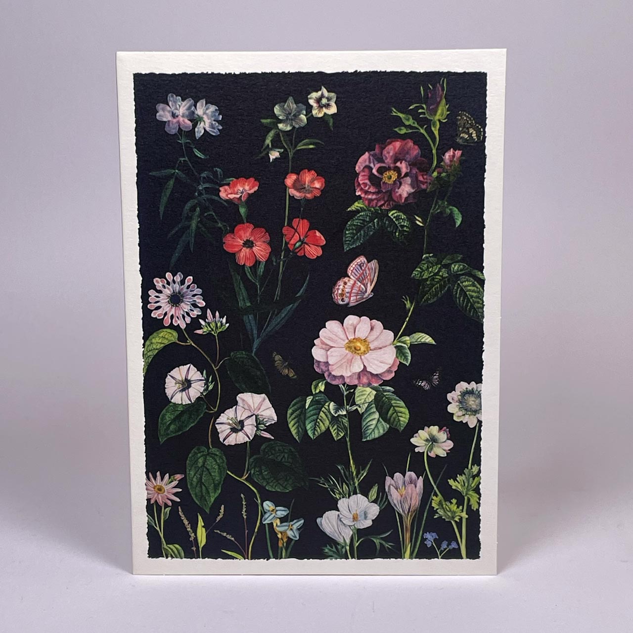 Crocus and Convulvus Art Card - SAMPLES SALE