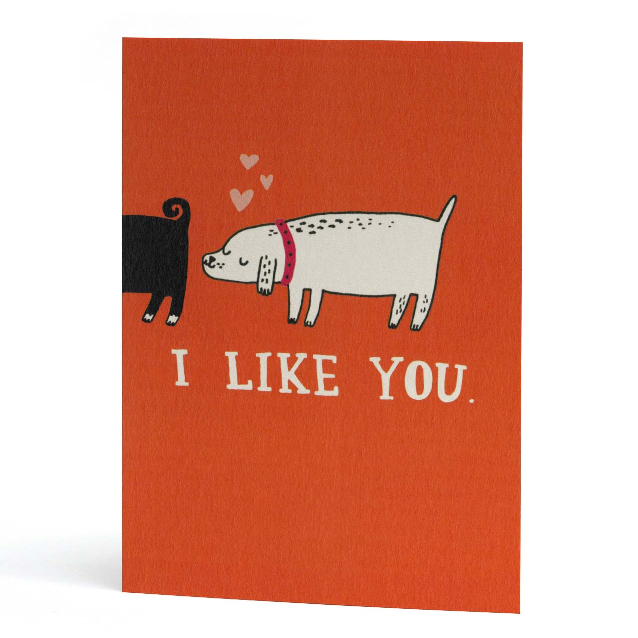 I Like You Dogs Greeting Card