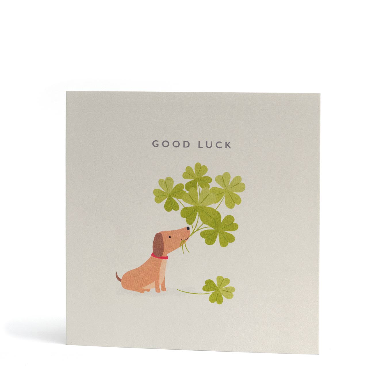 Good Luck Dog and Four Leaf Clover Greeting Card