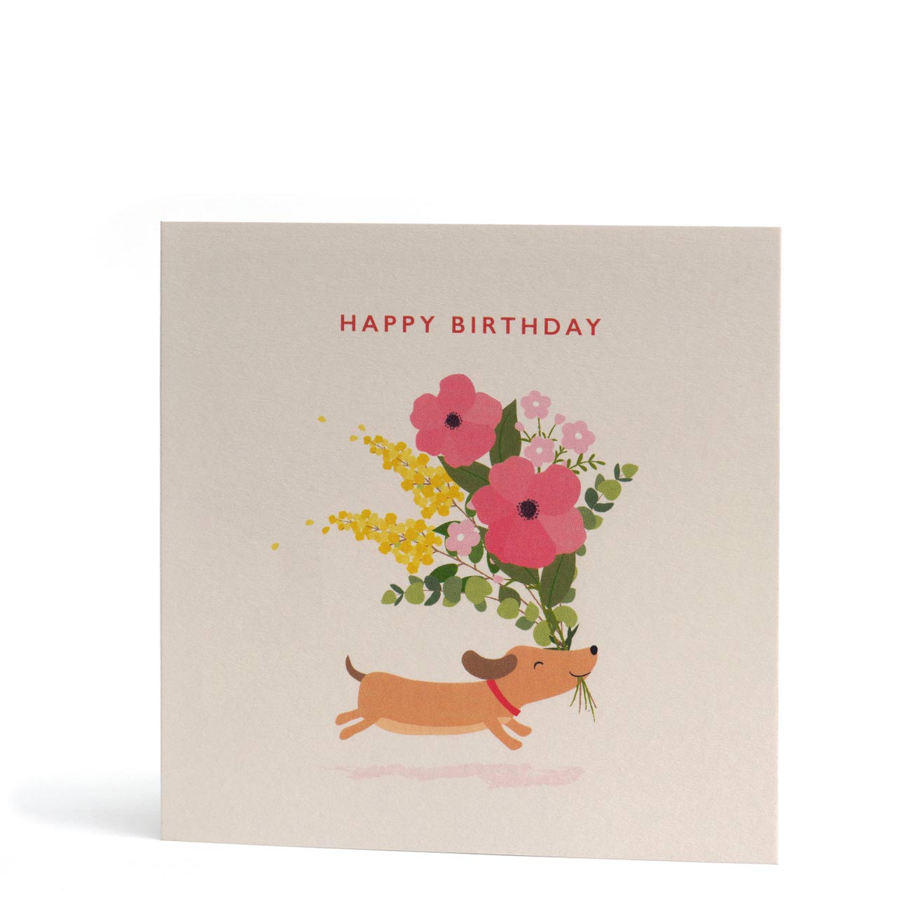 Happy Birthday Dog and Flowers Greeting Card