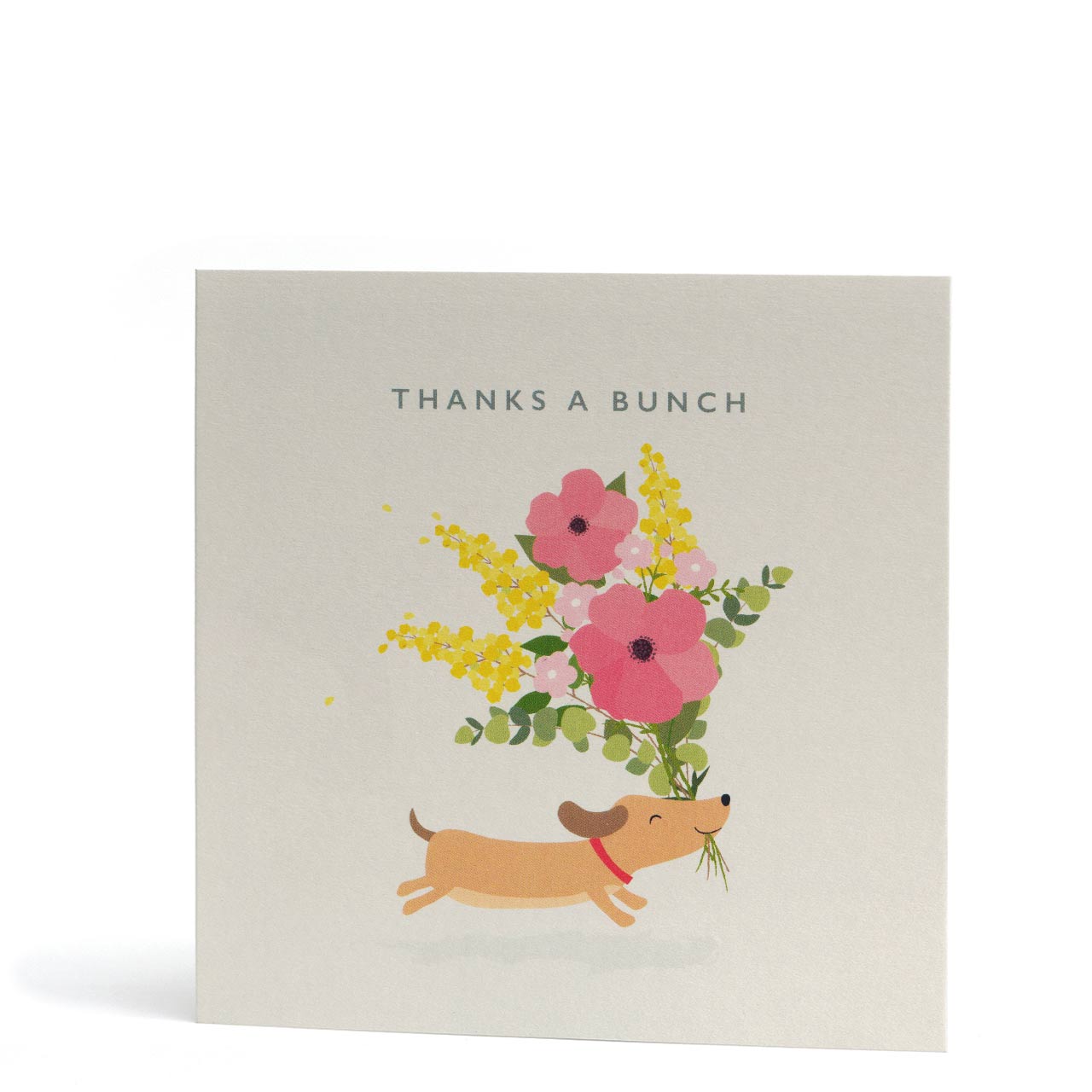 Thanks A Bunch Floral Doggy Greeting Card
