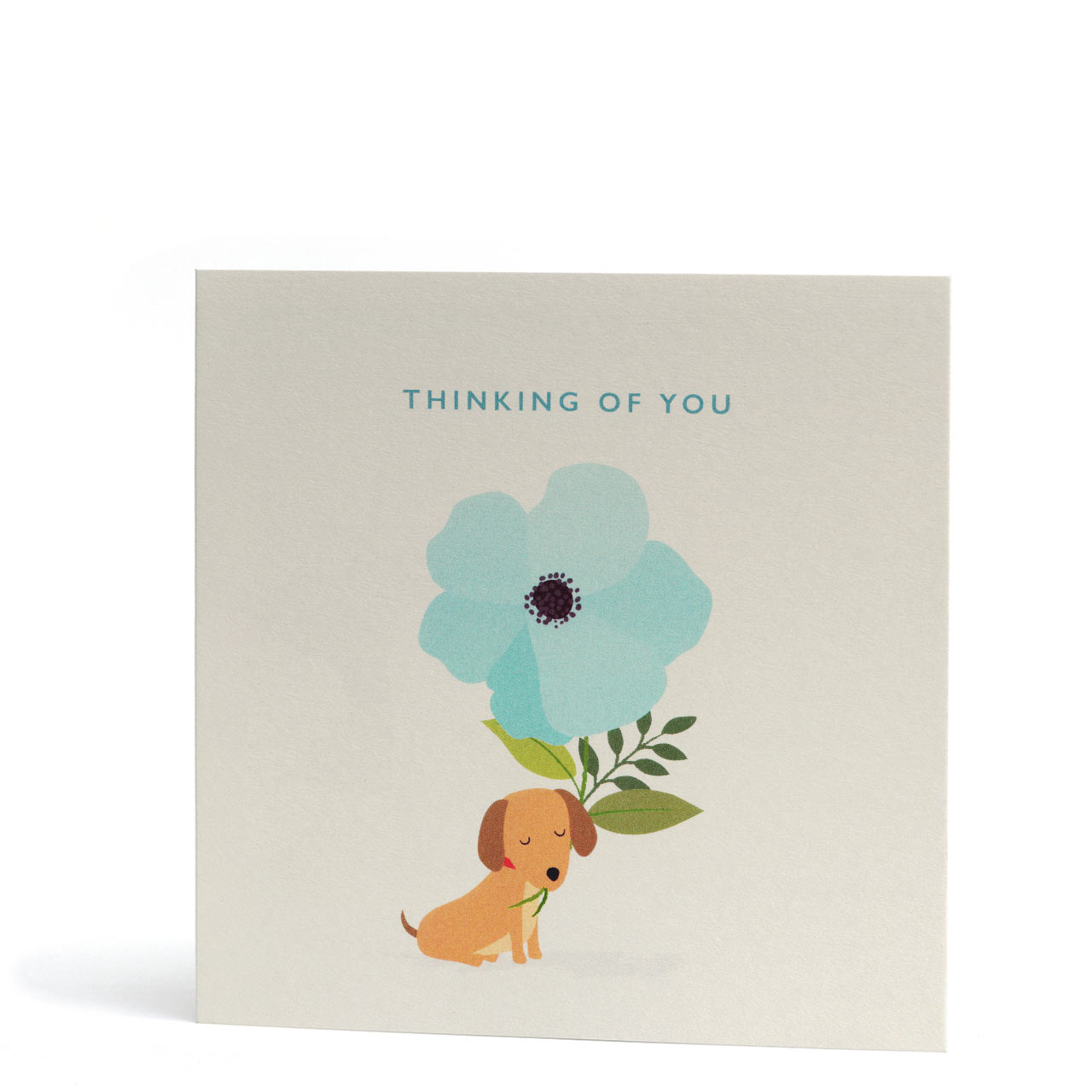 Thinking of You Doggy Flower Greeting Card
