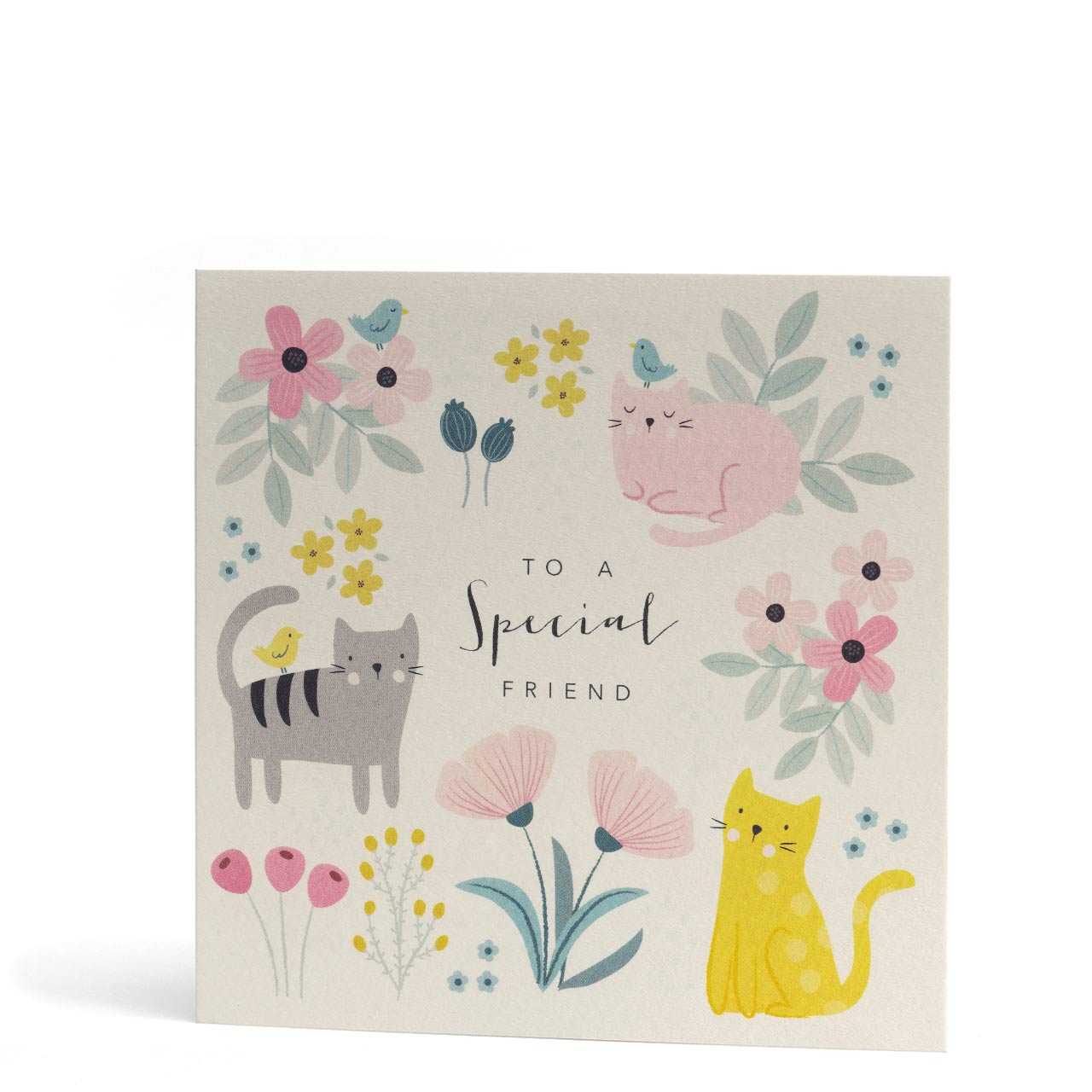 To A Special Friend Cat Greeting Card