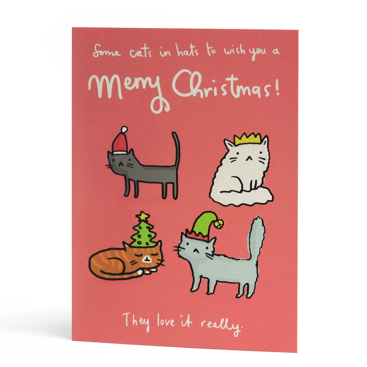 Some Cats In Hats Christmas Card